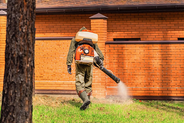 Trusted Cockroach Control service in Medford, NY - Nex Pest Control
